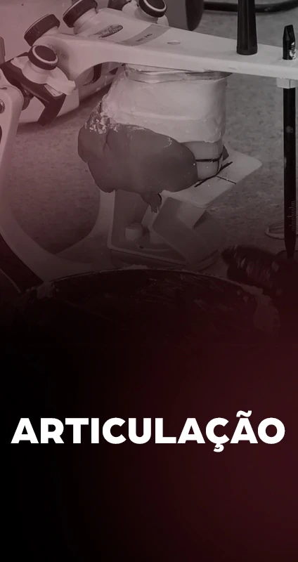 capa-6 copiar